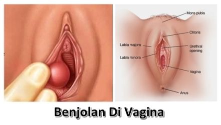 vagina sex with yang