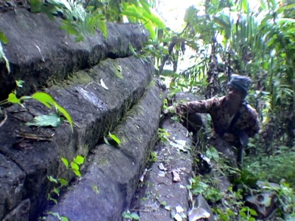 gunung gede pangrango cibodas