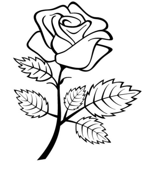 kartun bunga mawar