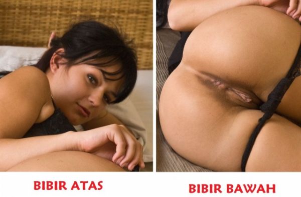 bentuk vagina yang melahirkan normal