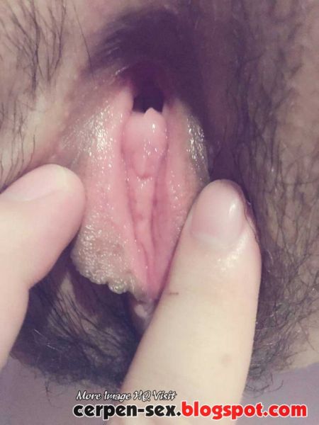 bulu memek