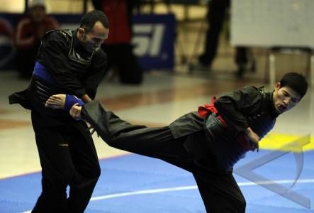 silat brunei darussalam