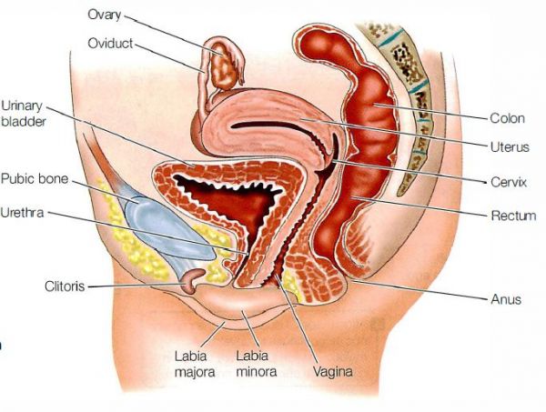 gambar perempuan kondom