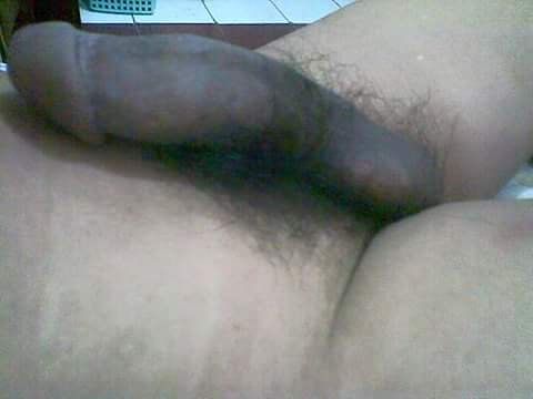 ngentot kontol