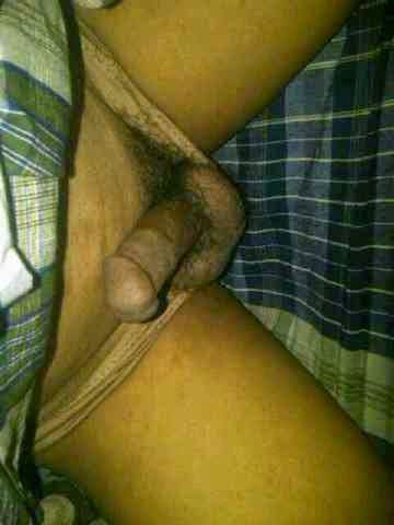 kontol ngentot memek