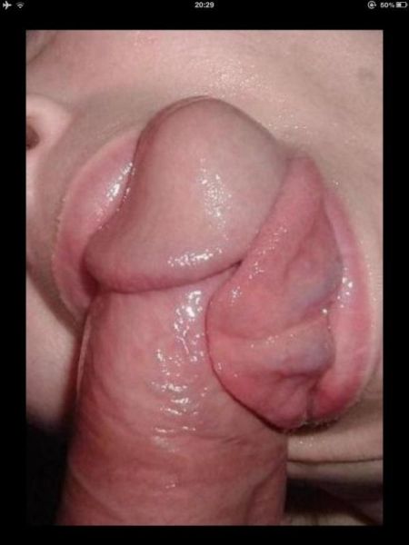 bulu memek lebat