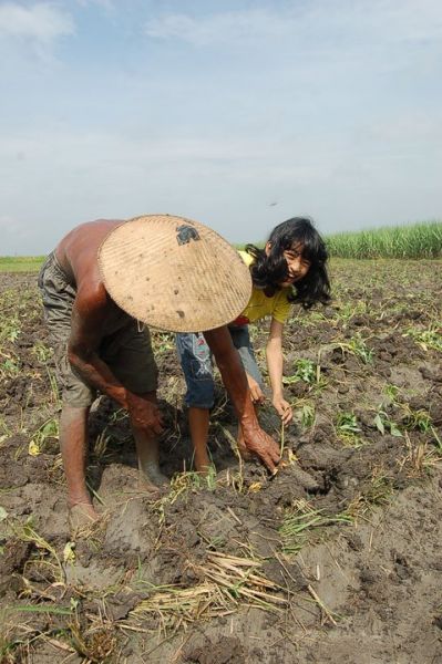 kumpulan foto memek perawan