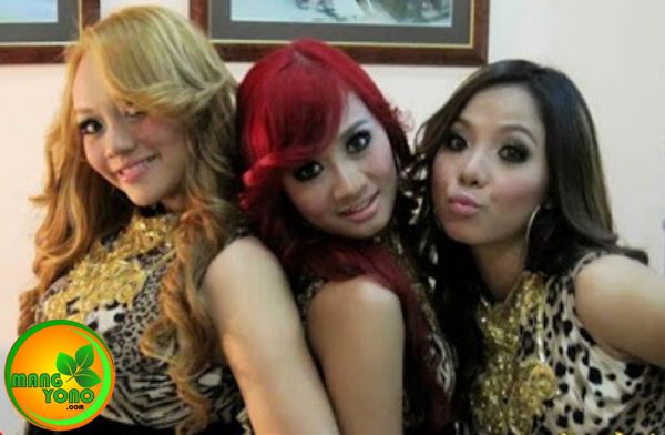 trio macan korea