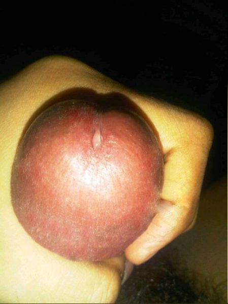 kontol smp