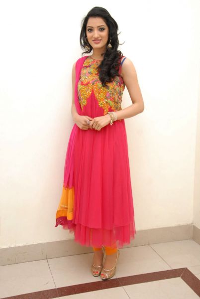 namitha dress