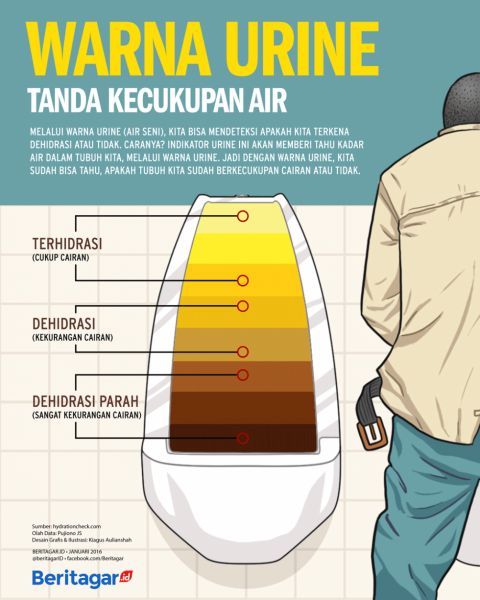 gambar unik dan cantik