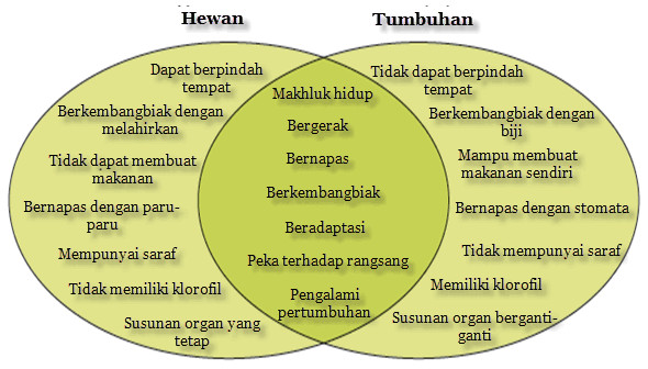 orang di perkosa