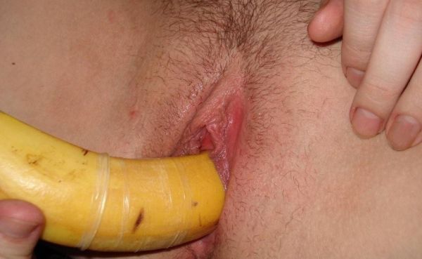 gambar pelepah pisang