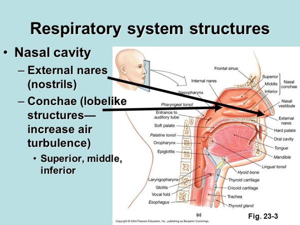 for copd