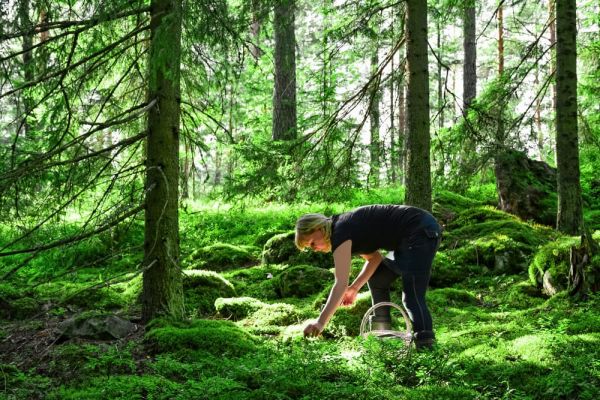 telanjang di pedalaman hutan