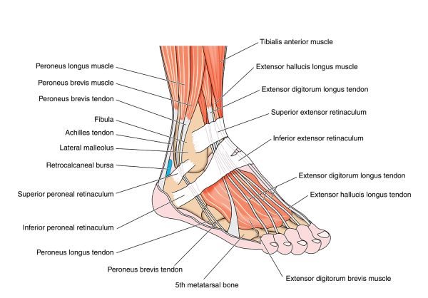 swollen ankles pitting edema